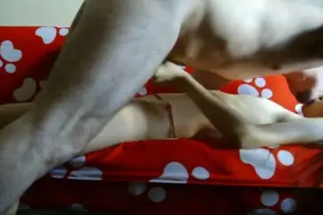 Live ABG Bispak Hotel Bintang Lima Skandal 2026